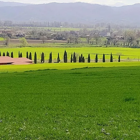 Le Cementine Greccio