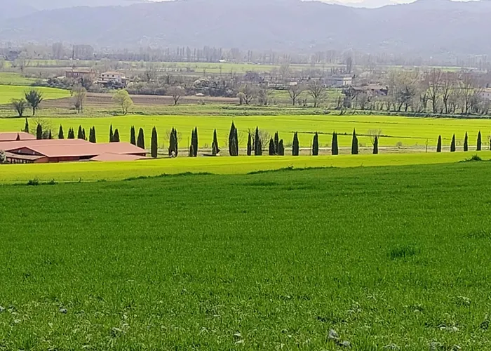 Le Cementine Greccio